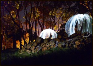 Orbs in the Forest - James Allan (Set)