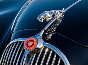 John Vidgeon - Jaguar Reflection