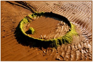 Low tide - Ursula Prucha