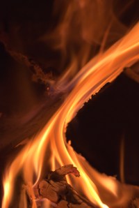 Golden glow - Chris Schultz (set)