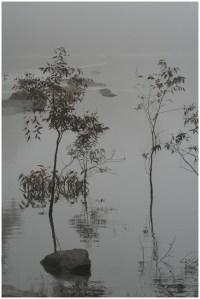 Still water - Heather Connolly (open)