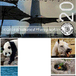 The BPC 2011 Calendar