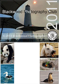 The BPC 2011 Calendar sample