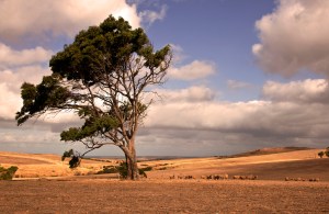 Strange Day - Gary Secombe
