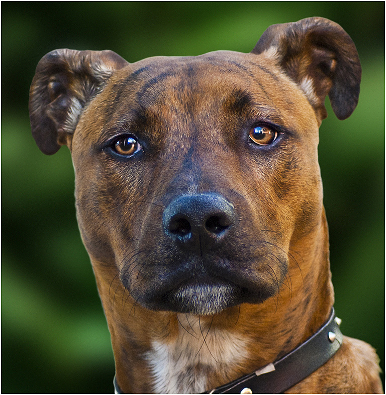 John Vidgeon - Harry (Open)