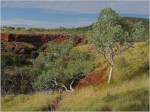 Heather Connolly_Pilbara landscape_Landscape trophy