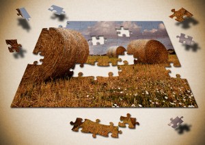 Eric Budworth - Puzzled (Colour prints -set)