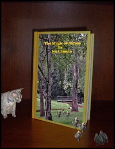 Hilary Thompson - The Magic of Nature with Ducks (Colour prints - set)