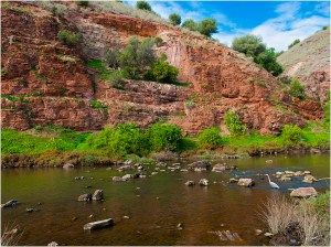 John Vidgeon - View Onkaparinga (Colour Prints - Open)