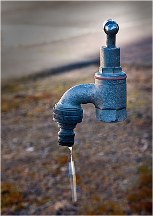 No Connection - Eric Budworth (Set)