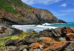 Deep Creek Cove - Helen Whitford - Open