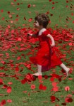 Helen Whitford_It’s Raining&nbsp;Poppies_Set