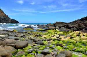 Deep Creek Cove - Helen Whitford - Set