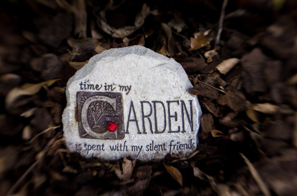 At rest - Peter Maunder - Set