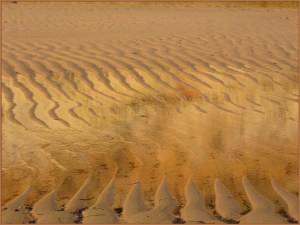 Heather Connolly-Noarlunga Gold-set