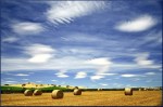 Helen Whitford_Harvest Sky_Landscape