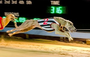 Les Ludgate_Catch me if you Can_Set