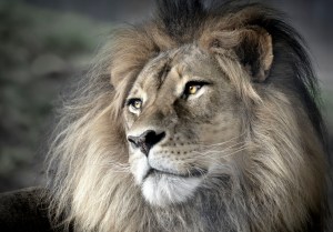 1st: Helen Whitford - Longing