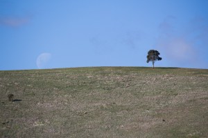 Huw Rosser_On the Edge_Set 