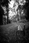 Bench