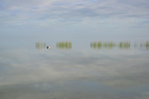 Jennifer Williams_On Reflection_Set