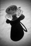 Olive_s_Teacup_Shadow