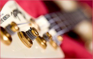 Ashley Hoff - Precision Bass - Set