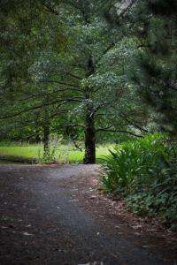 A02_Robyn-Due_Summer-Green_Novice