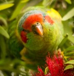 C02_Ron Hassan_can I help&nbsp;you_open