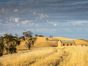 Nestled Farmhouse - Judy Sara