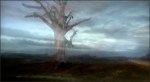 c08_alberto-giurelli_ghost-tree_open