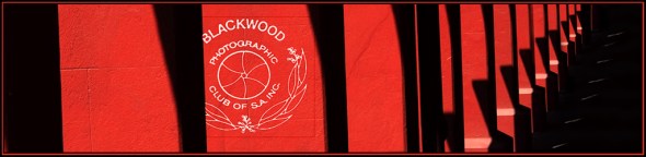 Red Pillar Banner-s