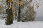 Bron-Williams_Autumnal-Snow_Top-print-images
