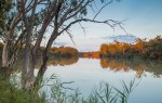 A21_Sam Savage_Murray River Sunset Chowilla&nbsp;Station_Set