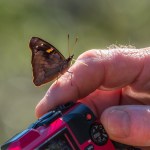 Sweat Sucker – Judy&nbsp;Sara