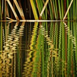 B11. James Allan_Loch&nbsp;Luna_Set