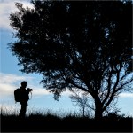 B17. James Allan_Photograph a&nbsp;Tree_Set