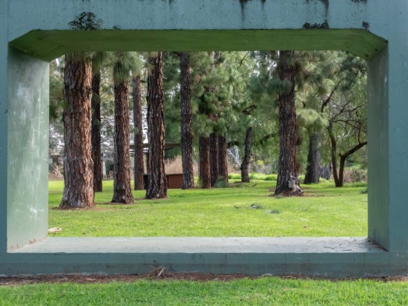 Judy Sara_In the Frame