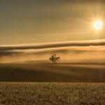 Judy Sara – Golden&nbsp;Morning