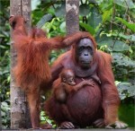 Family – Helen&nbsp;Whitford