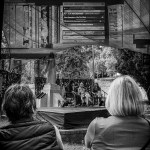 Judy Sara – Writers&nbsp;Week