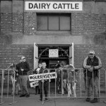 C5. Suzie Smith_Fancy a Guernsey_Mono_Set subject