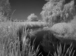 D6. Paul Hughes – Infra Red Bintree&nbsp;Mill
