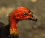 David Hancock_Please Give&nbsp;Generously