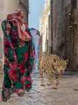 Judy Sara – On the Prowl in&nbsp;Ostuni