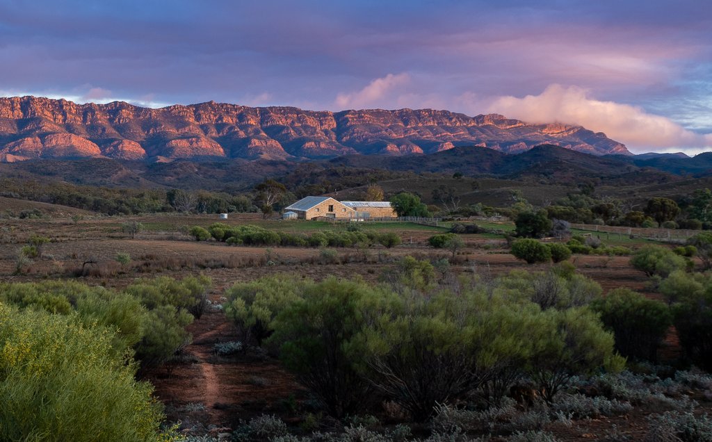 Meredith Retallack - Dawn at Arkaba Woolshed