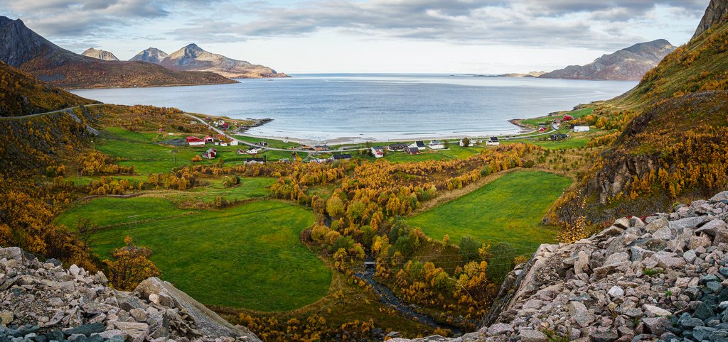 Judy Sara - Grotfjord