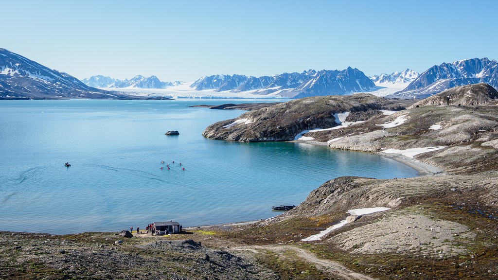 Judy Sara - Momocobreen