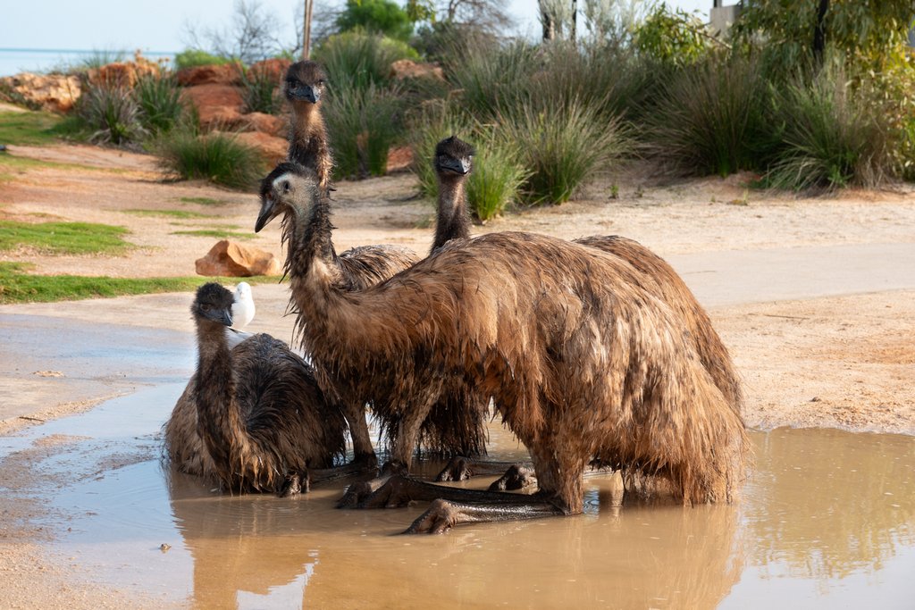 Paul Hughes - Bath Time