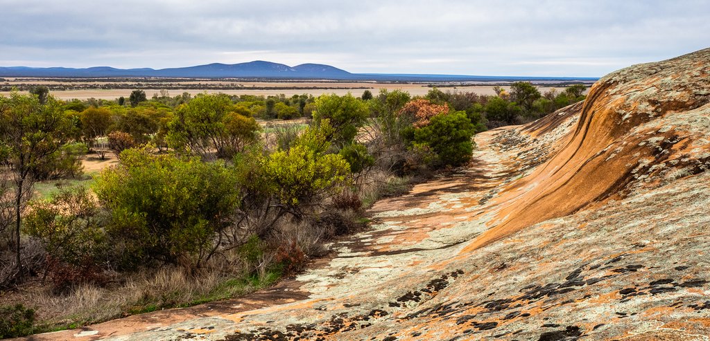 Judy Sara - Pildappa Rock